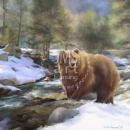 DR1422  Bear