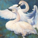 RIC1354 Trumpeter Swans DR387