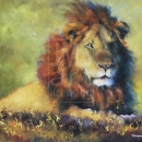 RIC1042 Lion King