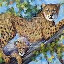RIC1399  Cheetah with baby-DR500