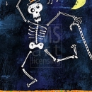 HP1051  skeleton