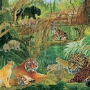JHGP  RC1_1025 Rainforest Cats_alt