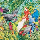 JHGP  RP1_1020 Rainforest Parrots_alt