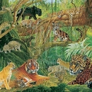 JHGP  RC1_1025 Rainforest Cats_alt