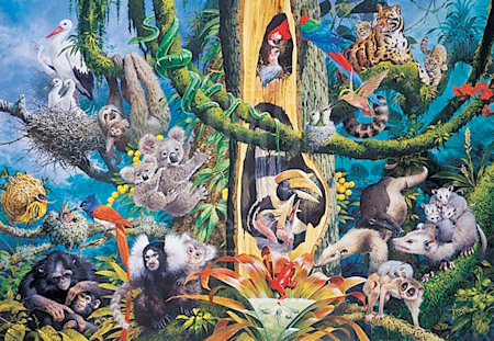 James Hamilton Grovely Puzzles – Tropical | JMS Art Licensing
