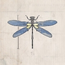 ROS1294   INSECT SERIES DRAGONFLY