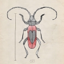 ROS1296  INSECT SERIES RED BEETLE