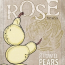 ROS1182 rose brand pears