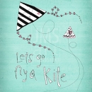 ROS1030 fly a kite