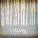 ROS1238  I AM LOST WITHOUT YOU jms