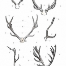 ROS1299  ANTLER STUDY 16x25 VOL2