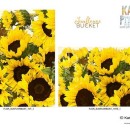KPD-Sunflower Bucket Sell