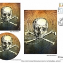 KPD-Scull and Crossbones no Text Sell copy