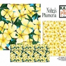 KPD2231 Nohea's Plumeria 2