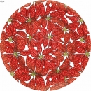 KPD2089 Poinsettia Fields Plate wm