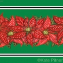 KPD2092 Poinsettia Sq  wm