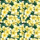 KPD2086 plumeria w-leaves blue back 41 wm