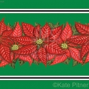 KPD2092 Poinsettia Sq  wm