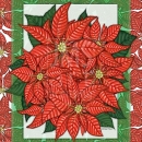 KPD2451  FLOR-POINSETTIAFLG 1