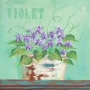 KL2268  Sweet Violets
