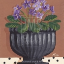 KL2308  African Violets 12_0001