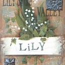 LOC1091 lily of the valley