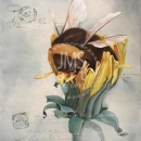 LOC1181  Mr. Bumblebee