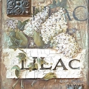 LOC1007 Lilacs
