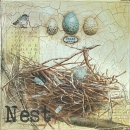 LOC1070 Nest