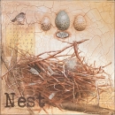 LOC1070_A Nest 1