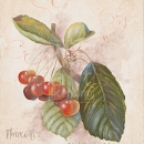 LOC1078 cherries