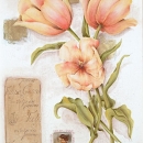 LOC1084 tulips1