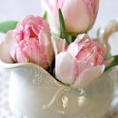 LL2597  MG8094PinkTulips1