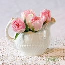 LL2607  MG8163PinkTulips11