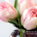 LL2610  MG8187PinkTulips14