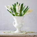 LL2613  MG8268WhiteHyacinth1