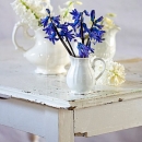 LL2619  MG8483Hyacinths