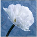 LL2090   MG3528-B  White Tulip with Pattern