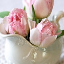 LL2597  MG8094PinkTulips1