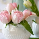 LL2599  MG8117PinkTulips3