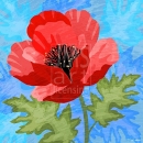 LL2980_blue  FLR209Poppy