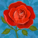 LL2987_blue  FLR211Rose