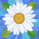 LL2989_blue  FLR213Daisy