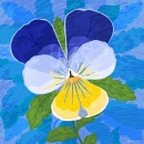 LL2991_blue  FLR214Pansy