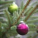 LL3272  IMG_6151_CHRISTMAS_ORNAMENT_3