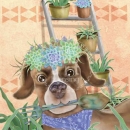 ML348  Dog Succulent Gardener