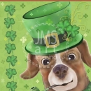 ML399  St Patrick day pup