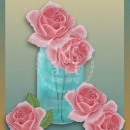 ML210  ase of roses with background