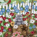 ml336-cat-in-garden