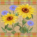ML589_M  sunflower plaid card